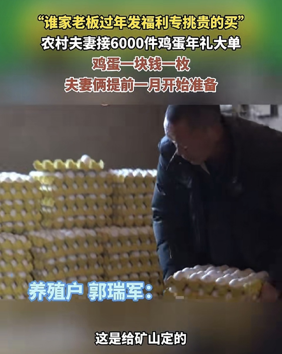 河南养鸡夫妻36万枚鸡蛋卖出36万元