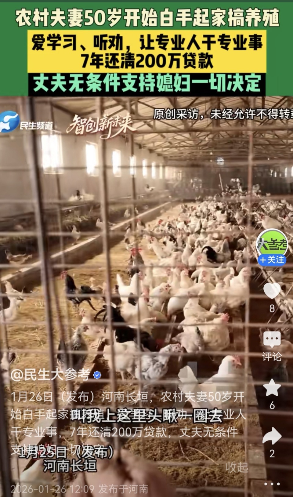 河南养鸡夫妻36万枚鸡蛋卖出36万元