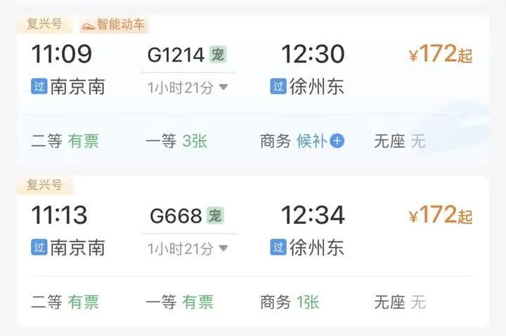 “毛孩子”坐上高铁回家过年啦