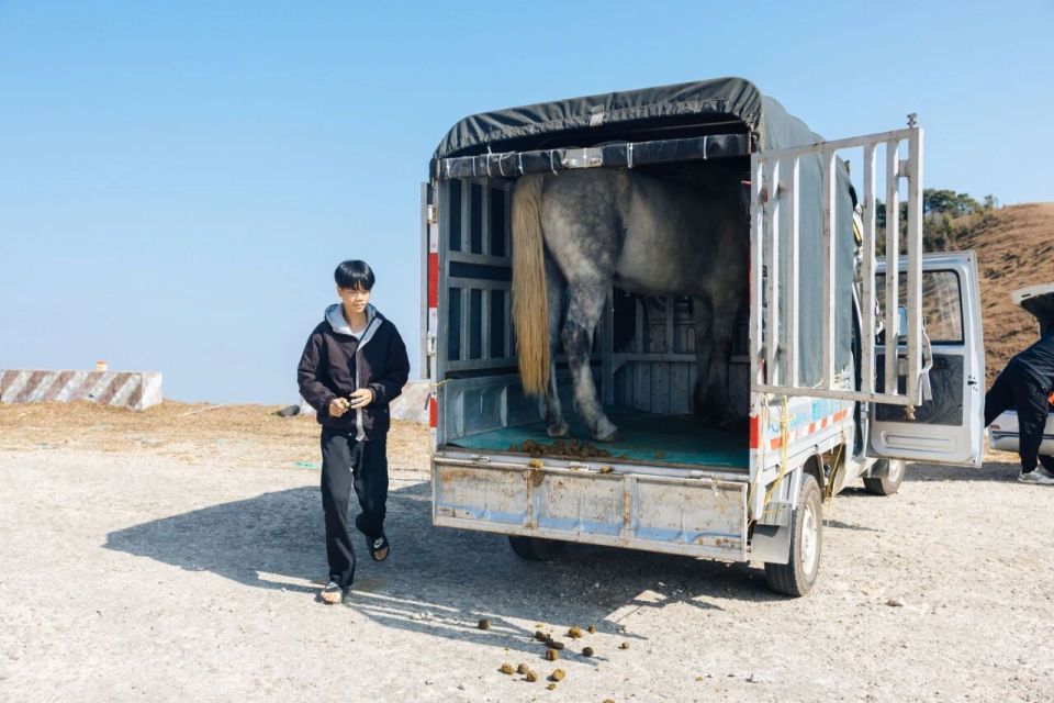 一群广西村民拍出大话西游