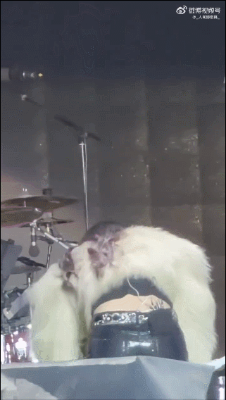 于文文演唱会上突然晕倒