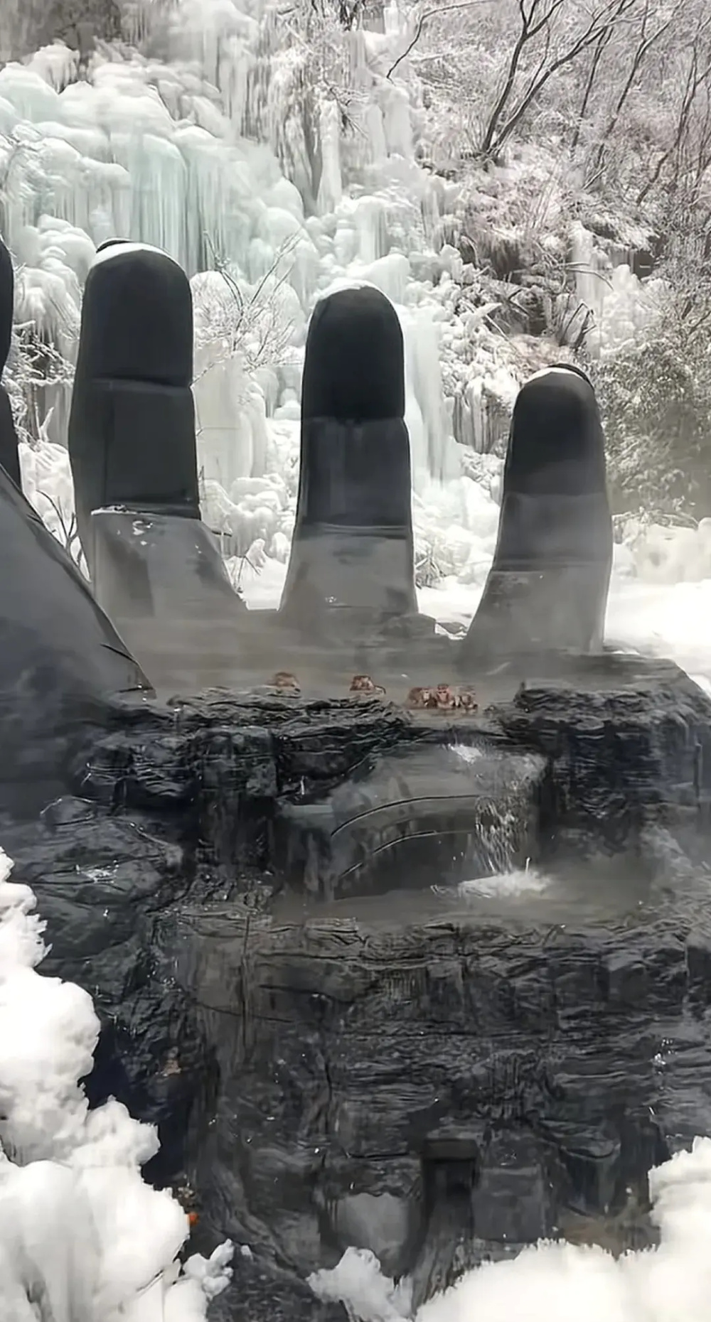 猴子在“五指山”拖家带口泡温泉养生