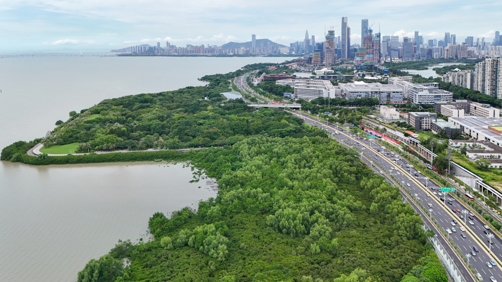回顧總書記關于濕地保護的殷殷叮囑