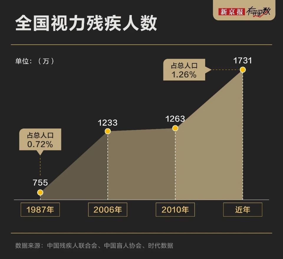 除了盲人盲道上什么都有