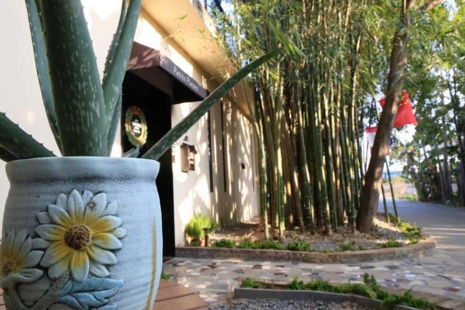 外国人也赶春运ChinaTravel说走就走