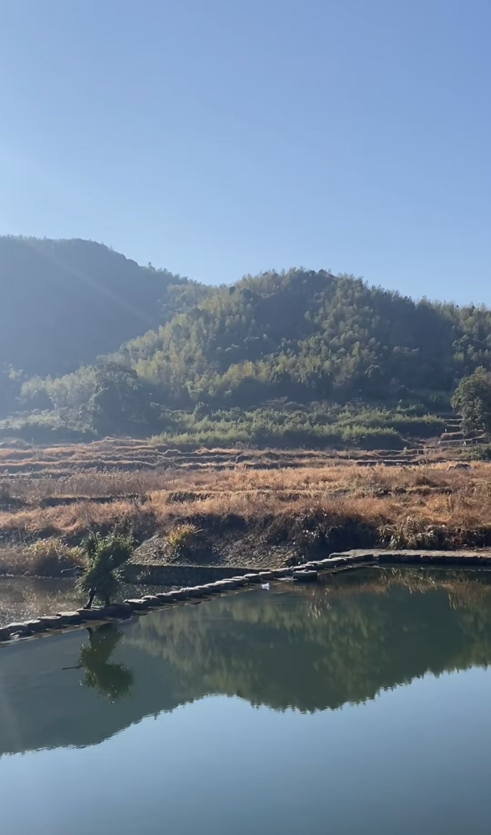 女子騎電動(dòng)車近2個(gè)月從上海回廣西