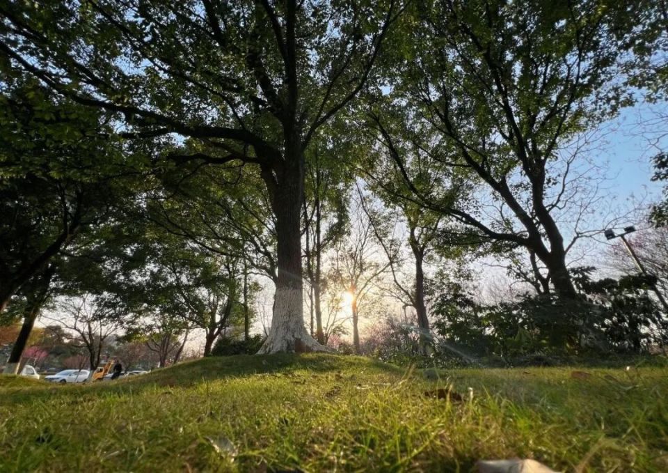 白天爱晒太阳的人赚到了