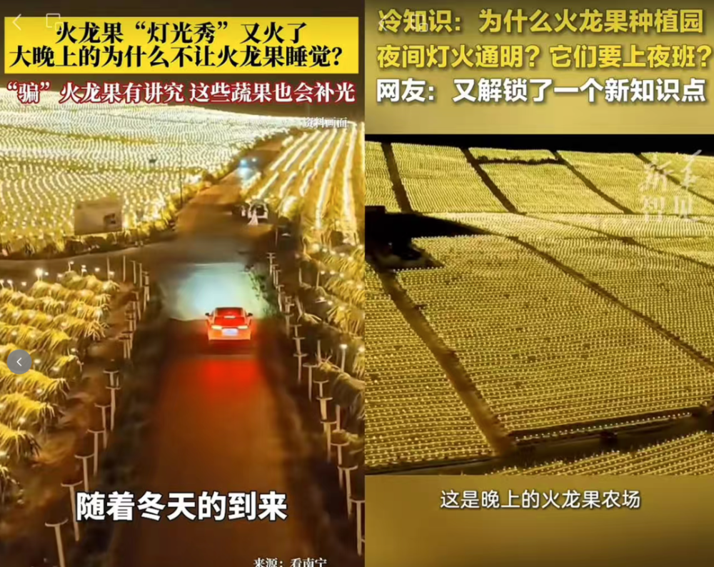 白天爱晒太阳的人赚到了