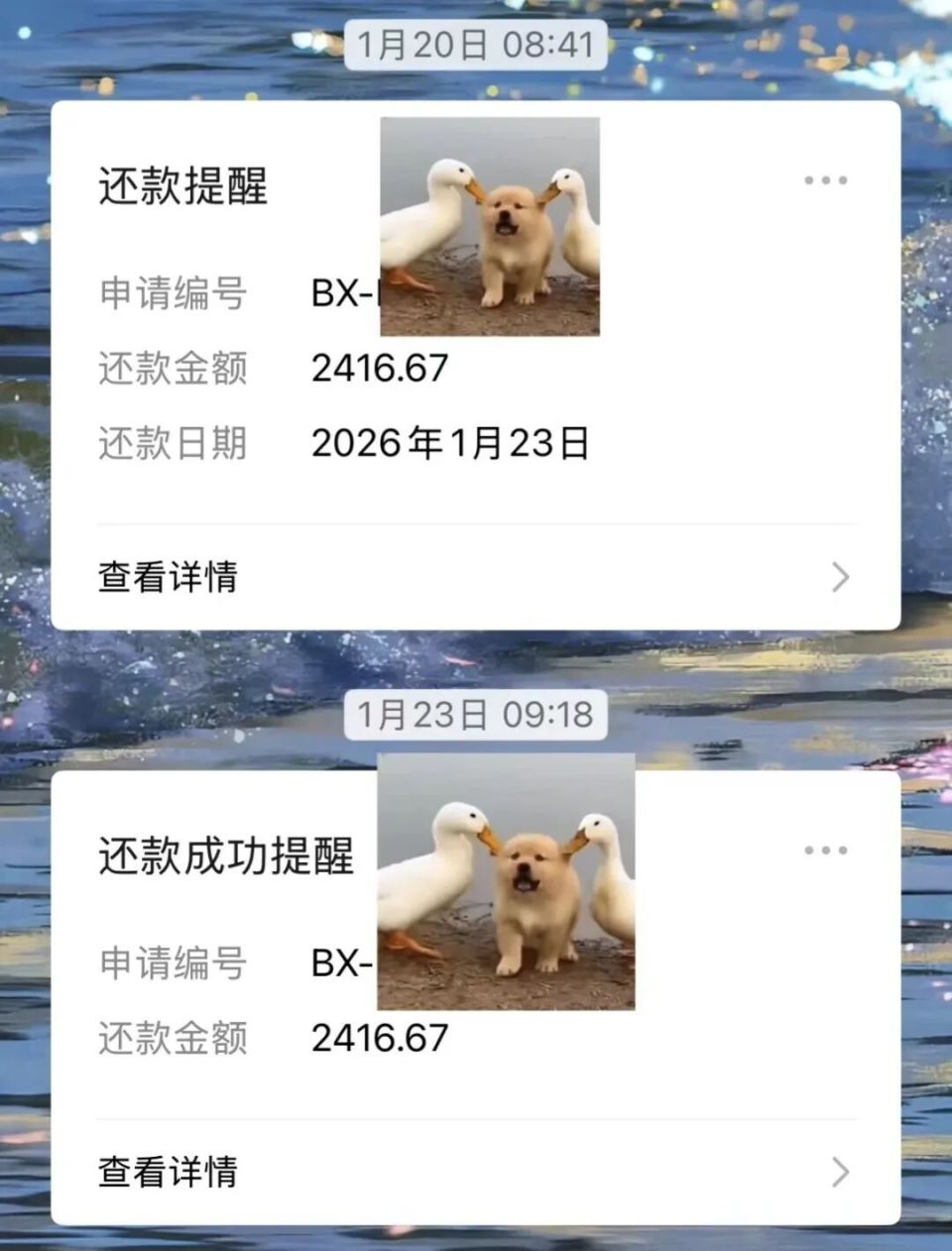 最长7年“超长期低息车贷”来了