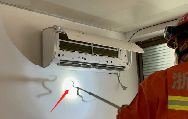 女子打开野餐垫袋子掉出一条蛇