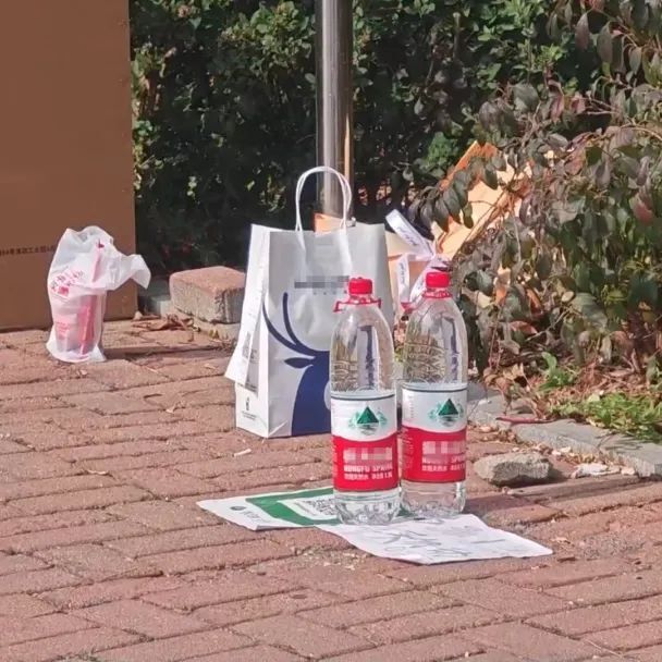 父母出门姐弟俩偷点外卖招待亲戚