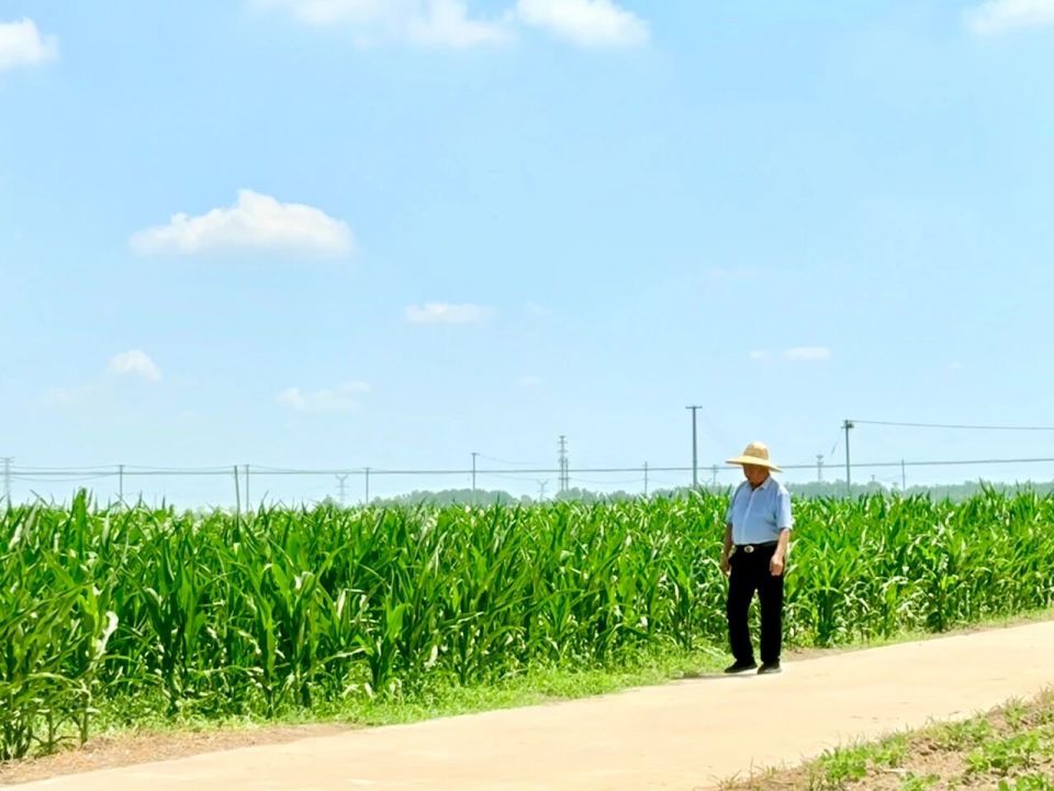 春晚觀眾席原來都是熟面孔