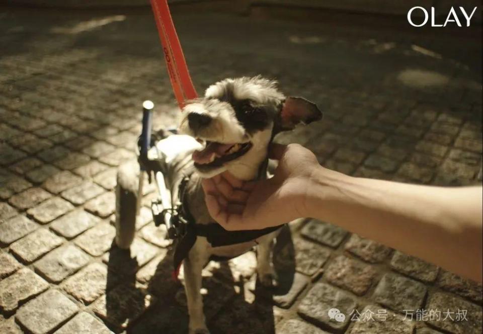 付航跨界说唱依旧Passion