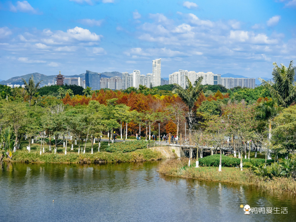 #春节出行各地堵堵堵#