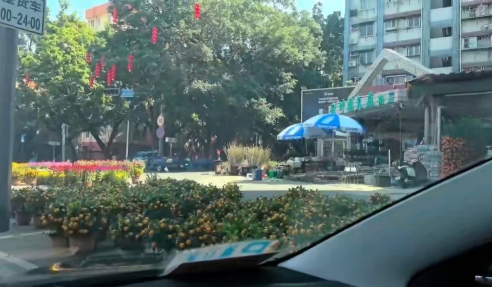 深圳花市现反向拍卖价格越喊越低
