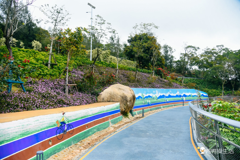 #春节出行各地堵堵堵#