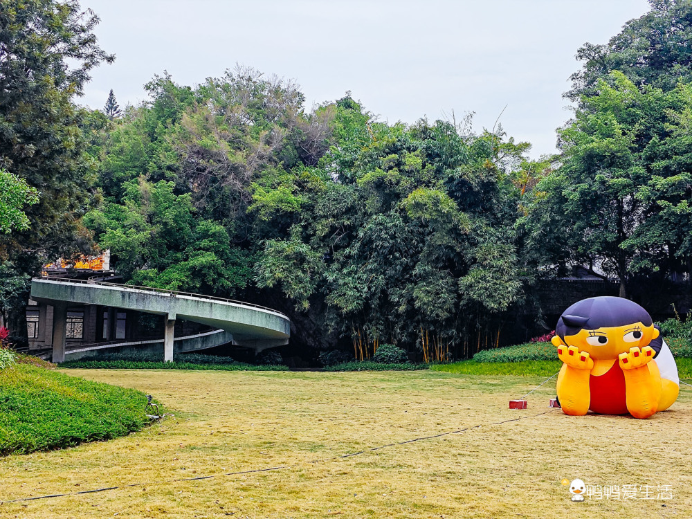 #春节出行各地堵堵堵#