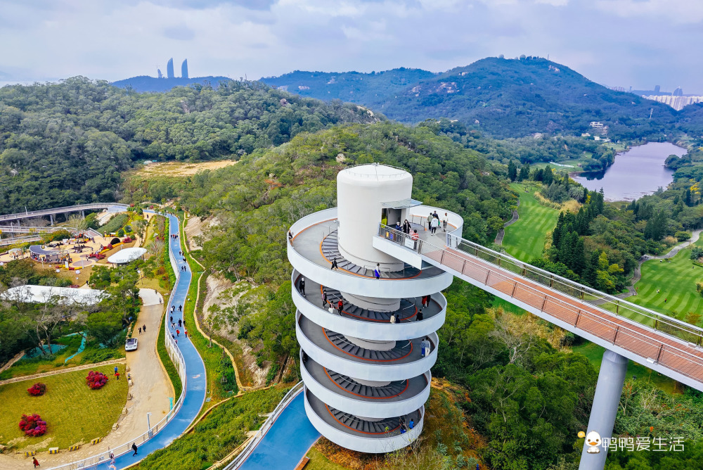 #春节出行各地堵堵堵#