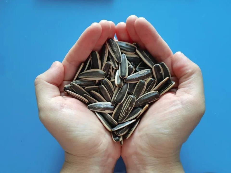这种瓜子有毒还致癌吃到立马吐出来