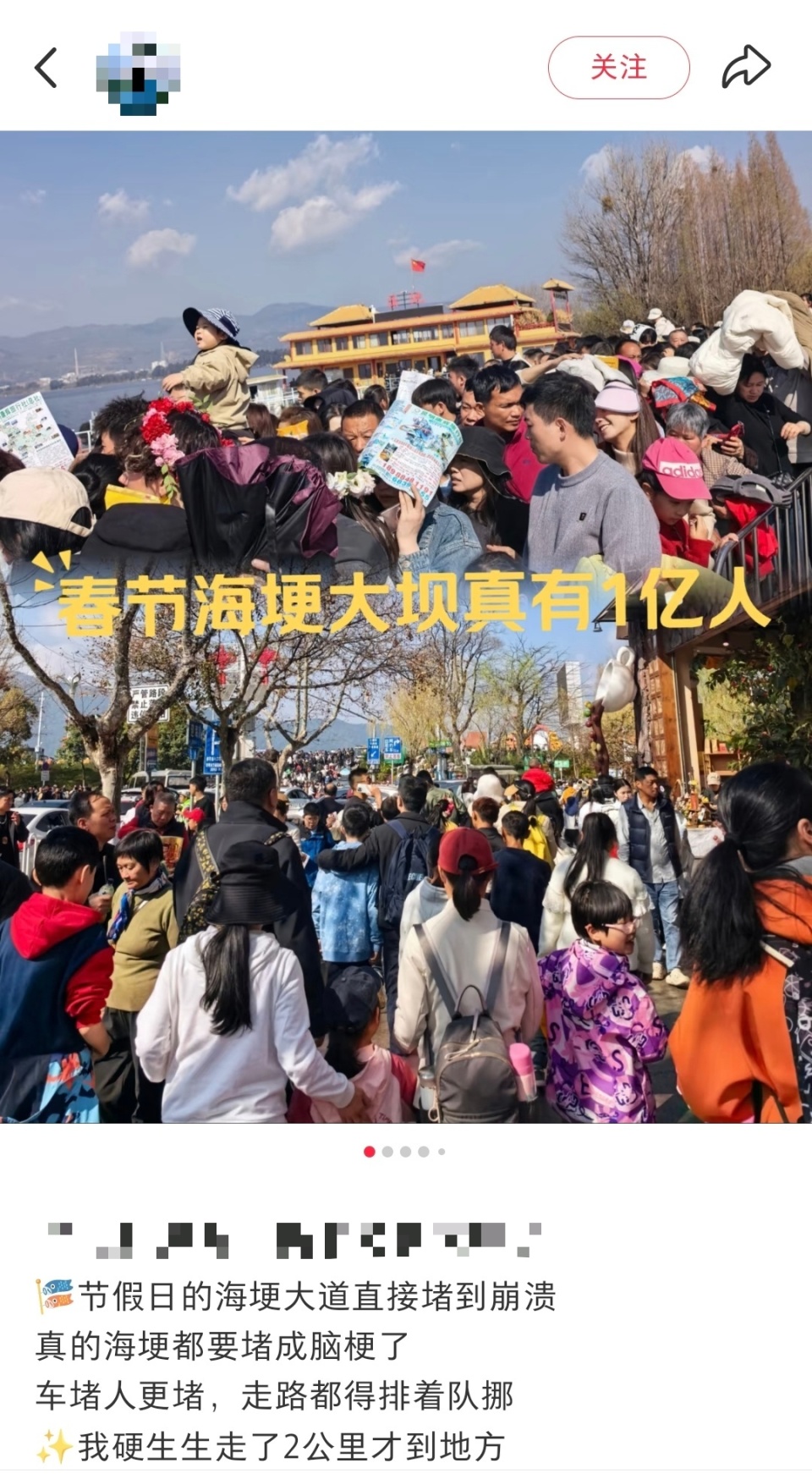 昆明海埂大坝“人比海鸥还多”