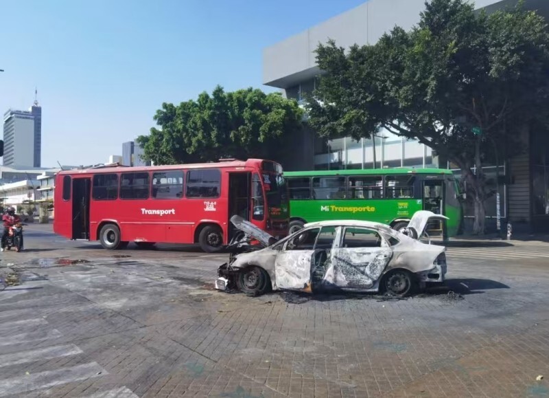 墨西哥多地暴乱中国游客发声