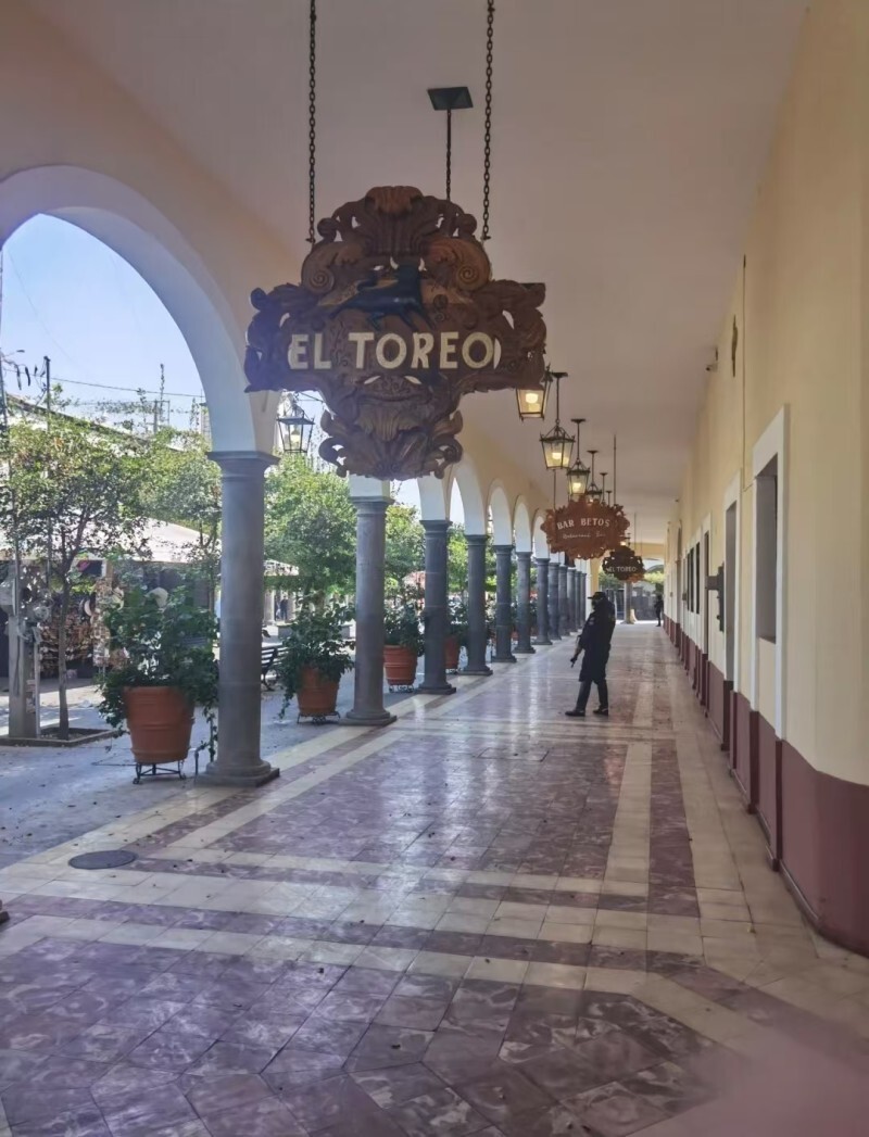 墨西哥多地暴乱中国游客发声