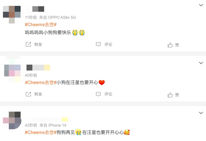 网红表情包撞脸三千多年前3只小狗