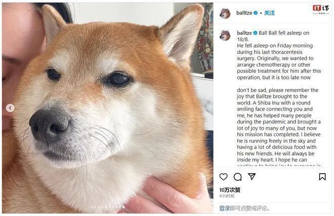 网红表情包撞脸三千多年前3只小狗