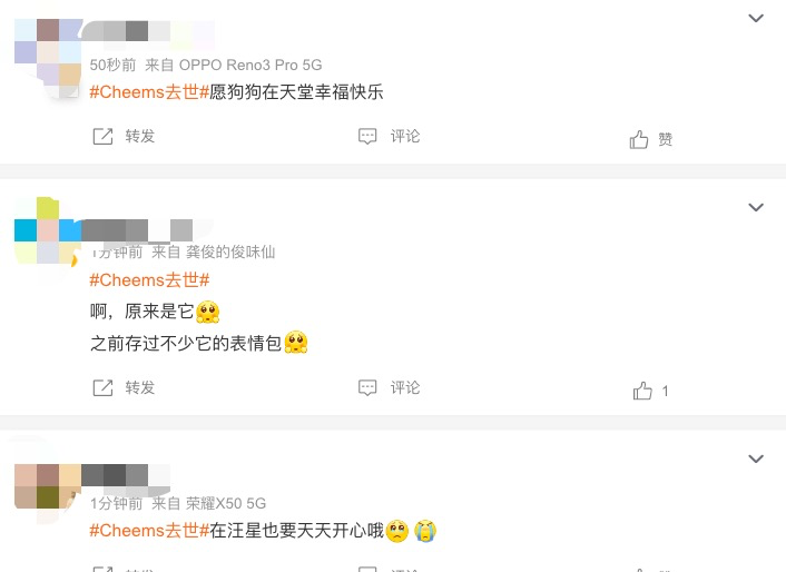 网红表情包撞脸三千多年前3只小狗
