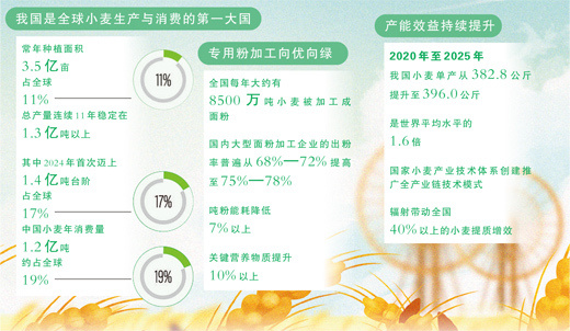 從三餐四季看小麥變身記