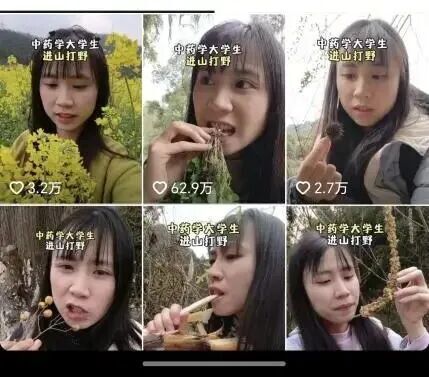 广州中药学女大学生进山尝草药走红