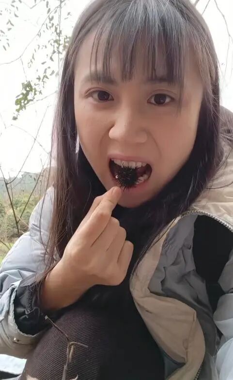 中药学女大学生进山尝草药走红