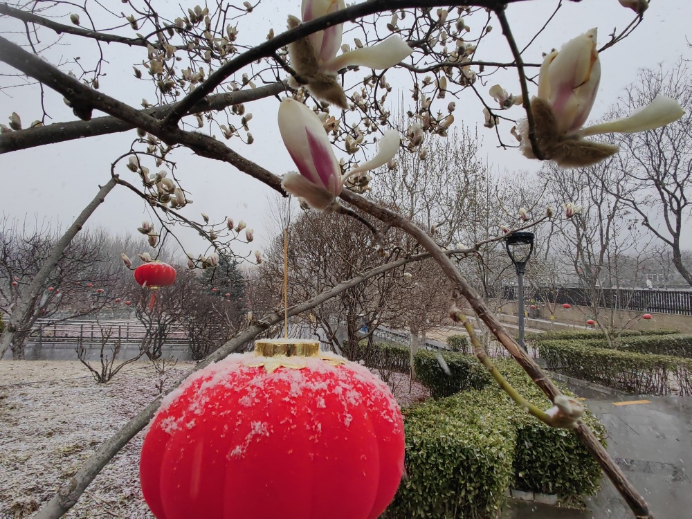 北京雪景请查收