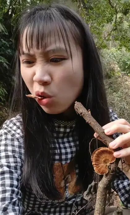 中药学女大学生进山尝草药走红
