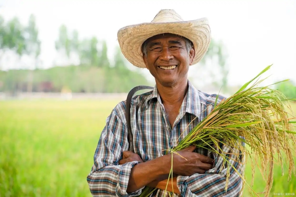 建议将农民养老金逐步提到每月一千