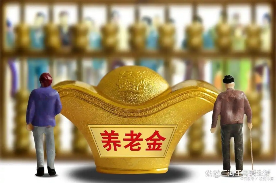 建议将农民养老金逐步提到每月一千