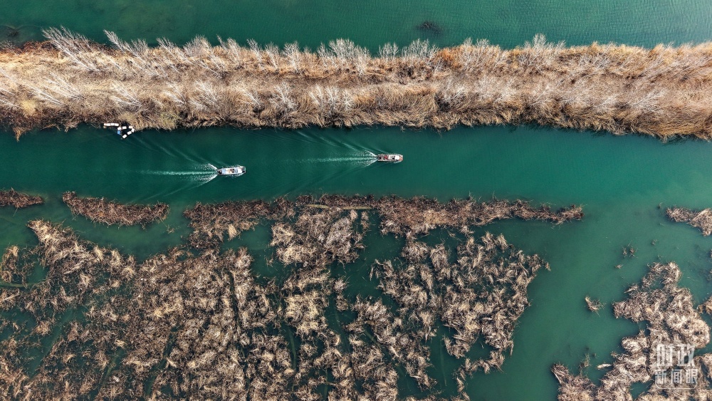 习近平为“千年大计”作出重要部署