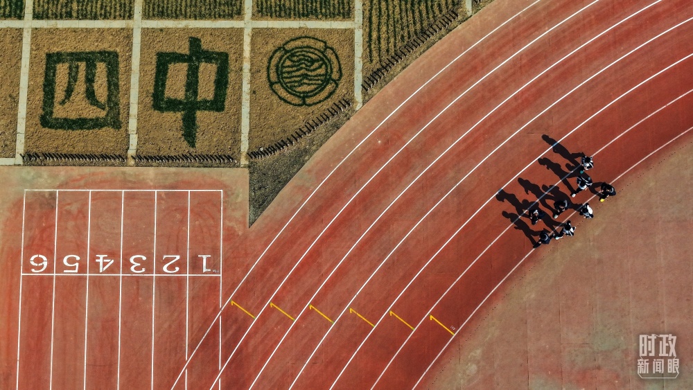 习近平为“千年大计”作出重要部署