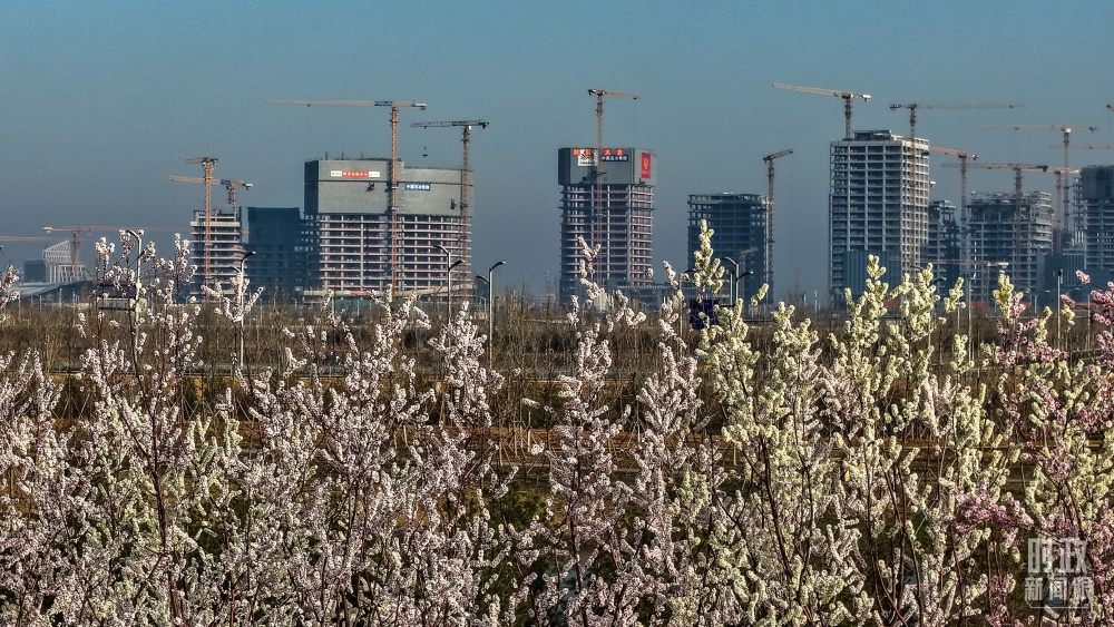 习近平为“千年大计”作出重要部署