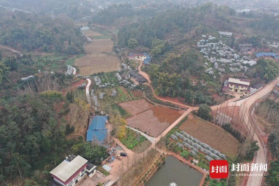 鱼塘被无人机喷药致鱼死亡当地回应