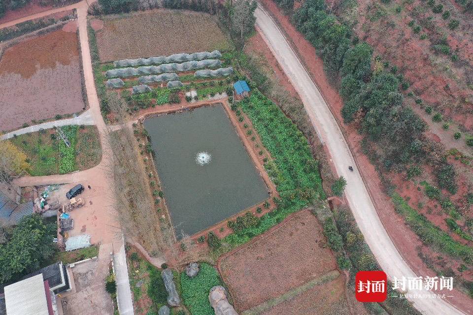 鱼塘被无人机喷药致鱼死亡当地回应