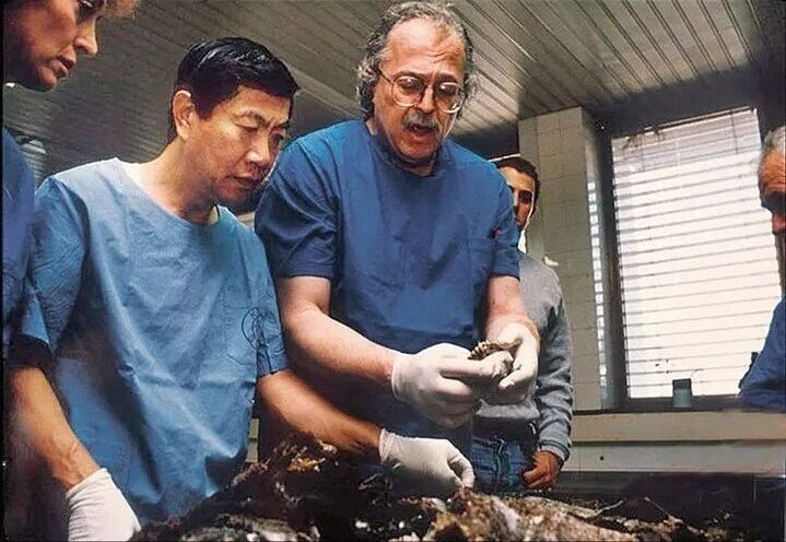 李昌钰：我一辈子都在做傻瓜