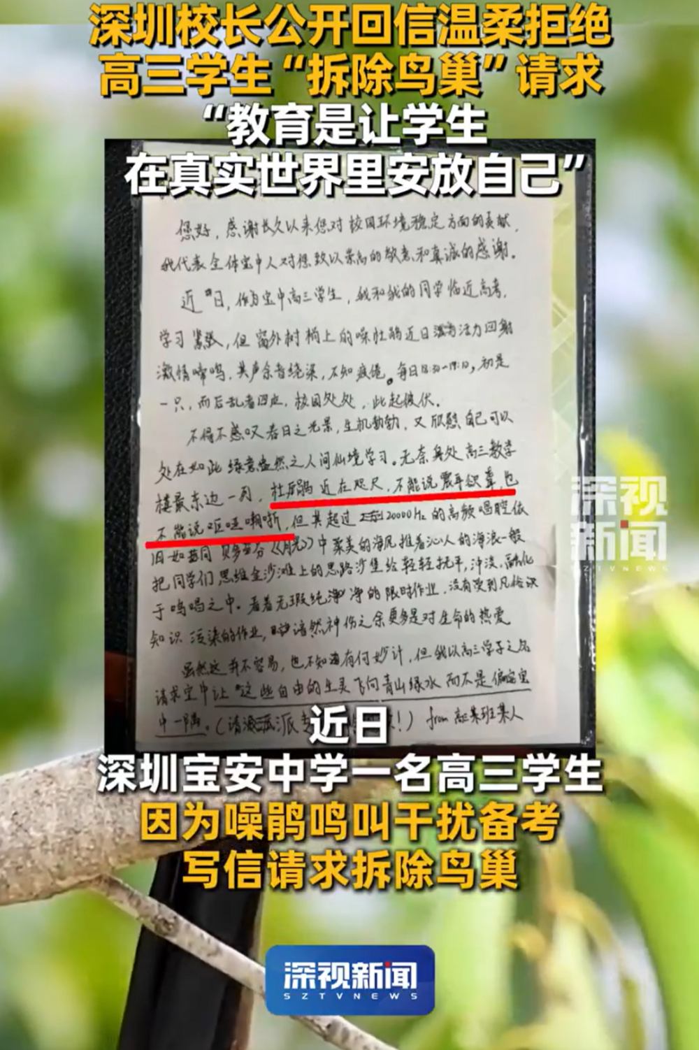 校长给建议拆除鸟巢的学生买了耳塞