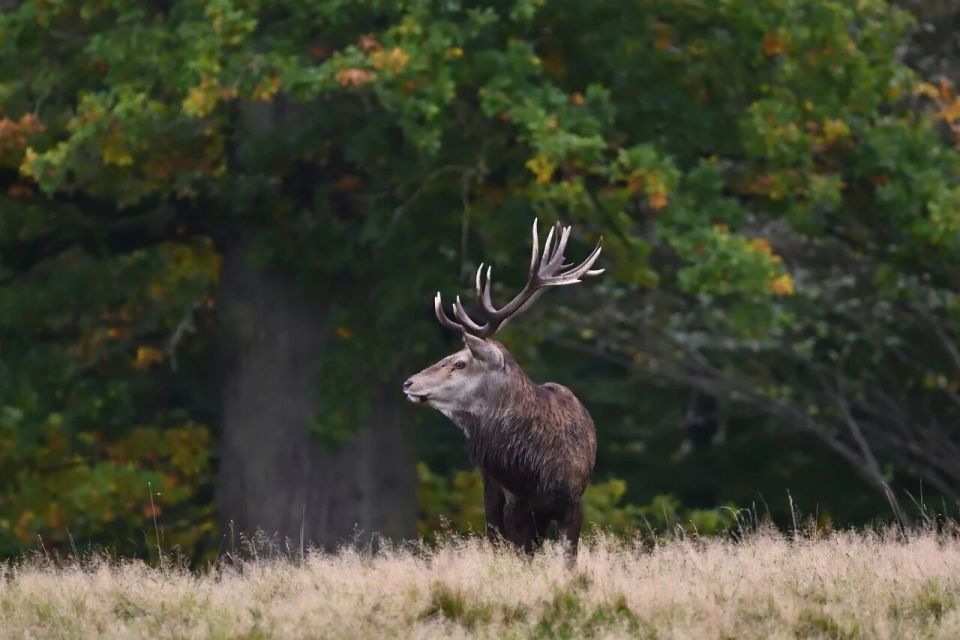 西班牙的外交“转弯”是什么信号